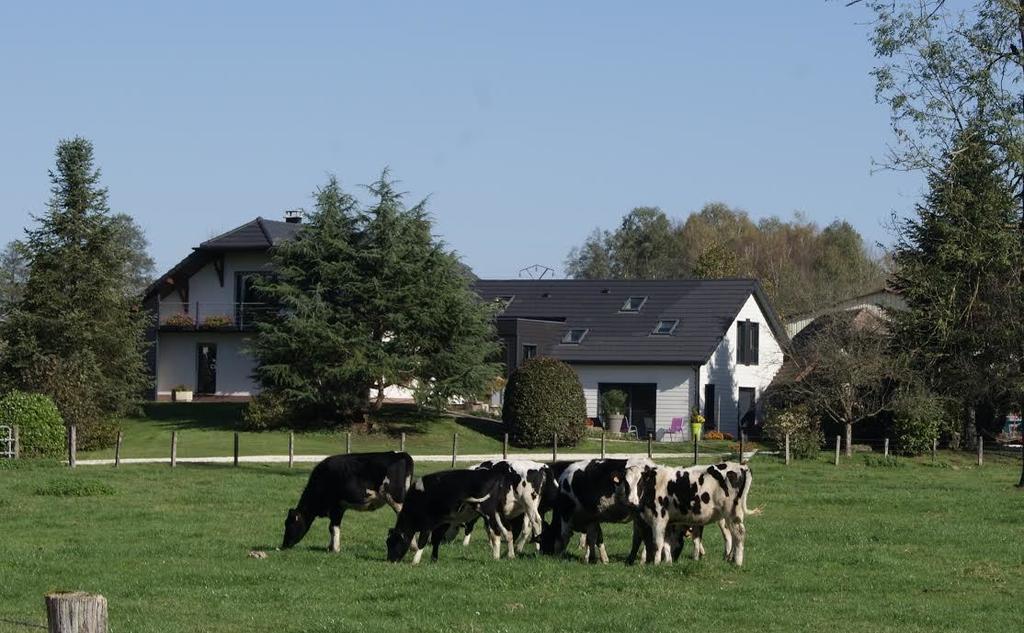 Bed and Breakfast La Noue Aubain Corbenay Exterior foto